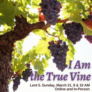 Lent 5. Series: “I Am” (5)