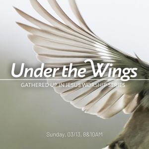 LENT 2_Under the Wings