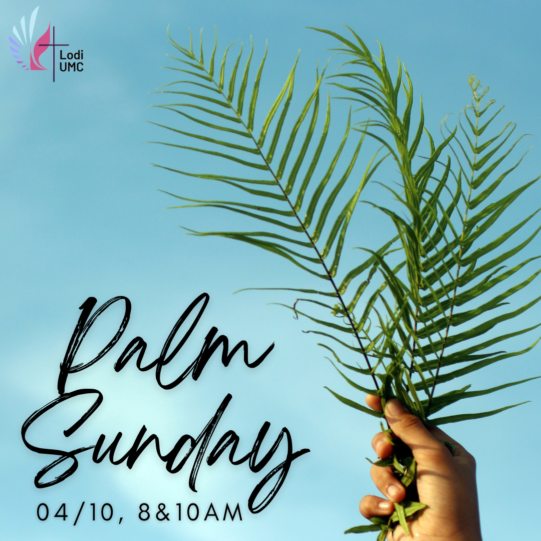 LENT 6_Palm Sunday_Two Processions