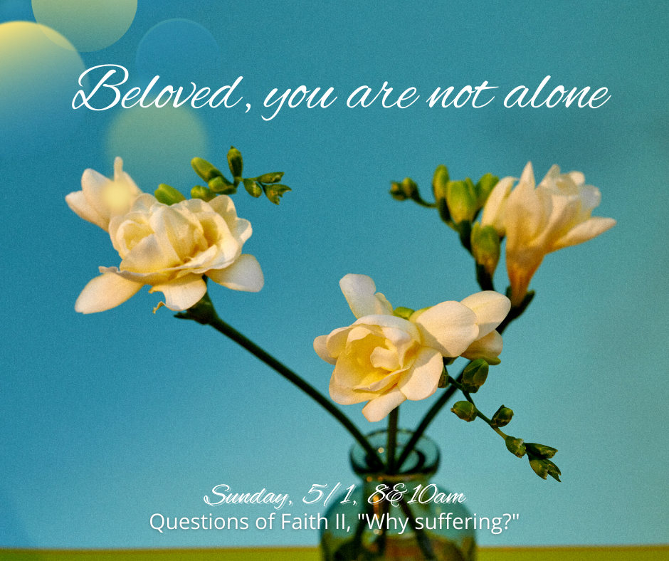 Questions of Faith 2: Why suffering? Our freewill or God’s plan?