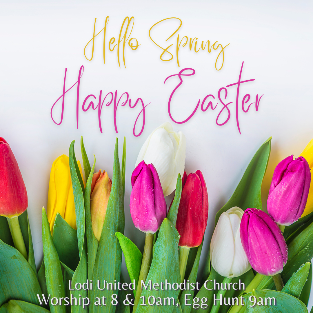 Easter 2023: What A Surprise!